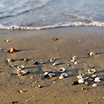 Apartman With Pool In 45685 *