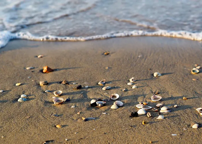 Appartamento With Pool In 45685 *